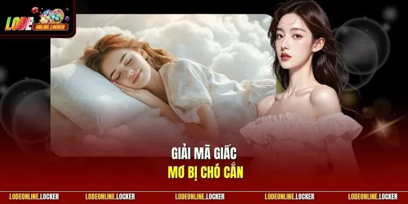 Giải mã giấc mơ bị chó cắn